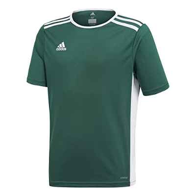 adidas Entrada 18 JSYY T-Shirt, Boys, Collegiate Green/White, 910Y