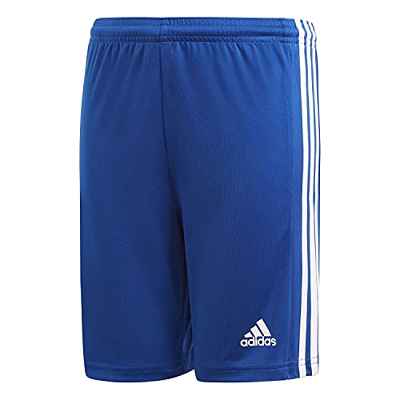 adidas Squad 21 SHO Y Shorts, Boys, Team Royal Blue/White, 6 años