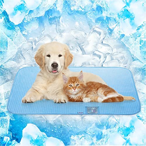 Alfombra refrescante para mascotas