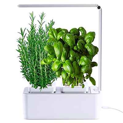 amzWOW Smart Garden Huerto de Interior 100% Eco, para Cultivar Plantas aromaticas Semillas Bio, Plantas Naturales Interior -Luz LED incluida - Dimensiones 28.5 x 11.7 x 37 cm