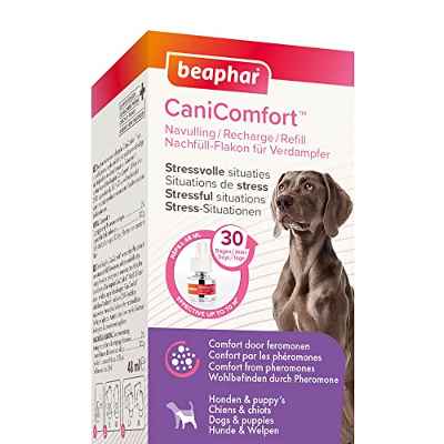 Beaphar CaniComfort Antiestres para Perros 48ml, Antiestres con Feromonas para Perros, Reduce Estrés y Ansiedad, Miedos, Quedarse Solo, Nuevo Hogar, Ladridos, Ruidos Fuertes, Conflictos, 48ml