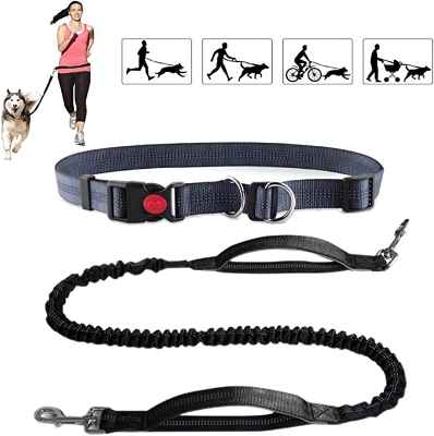 Correa perro ajustable para correr