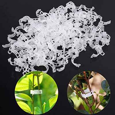 gexu Pinzas para Plantas Clips de Planta Colgar plástico, Soporte para Tomates, Pimientas, Plantas de Vid y Flores para Crecer Verticalmente,100 Pinzas Transparente Clips Cantaloupe Pinzas de Vine.