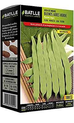 Judia Buenos Aires Verde S.EVITA