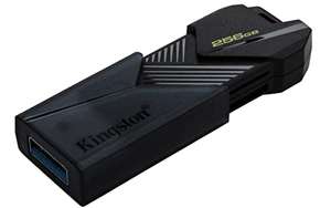 Kingston DataTraveler usb 256gb-3.2