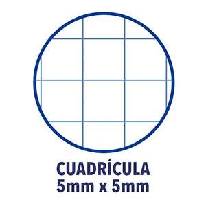 Pack de 10 cuadernos grapados Oxford