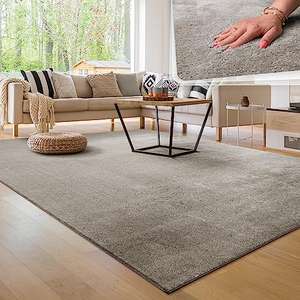 Paco Home Alfombra para la Sala de Estar Unicolor Lavable Suave Pila Corta, tamaño:80x150 cm, VARIOS TAMAÑOS CON CUPON AL 50% DTO