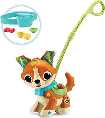 Perrito Paseos Tito aprende a andar VTech 