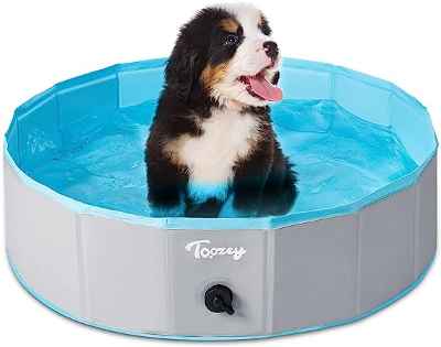 Piscina antideslizante Toozey para mascotas