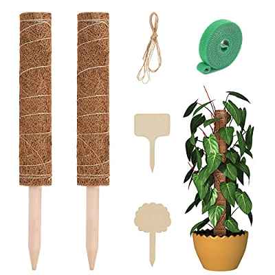 Plantas Trepadoras Tutores para Plantas Palos para Plantas Soporte Plantas Estacas para Jardin Estaca Madera